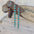 Artificial turquoise alloy bar earrings with circular turquoise stones and metal accents.